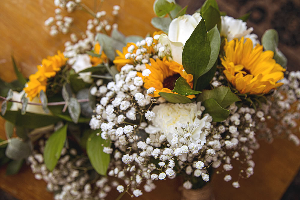 Triangle Nursery Customer Testimonials & Reviews